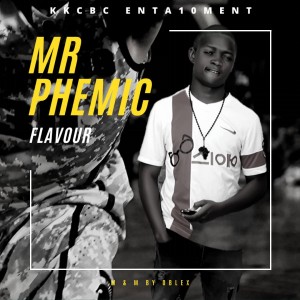 Mr Phemic - Flavor