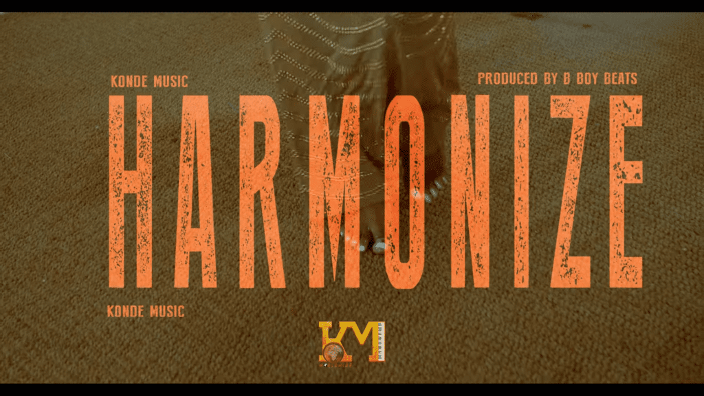 Harmonize – Wote video
